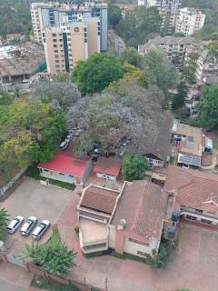 Shambuks - Nairobi - 0
