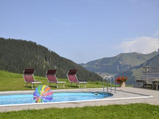 Modern apartment with swimming pool in Damüls - Damüls - 8