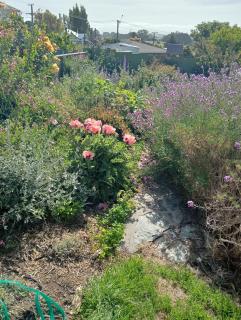 Comfortable home on South Hill - 4