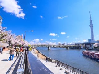 MIMARU SUITES Tokyo Asakusa - 6