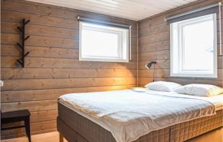 Amazing Home In Vrådal With Sauna - Vradal - 4