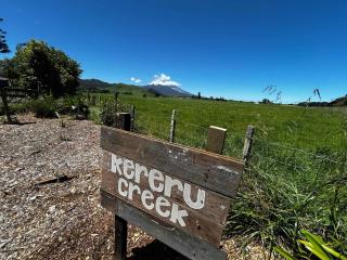 Kereru Creek by Tiny Away - Tataraimaka - 9
