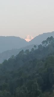 Dhamot Home Stay - 2