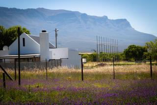 Rooikraal Hamlet Village Cottage - Prince Alfred Hamlet - 2