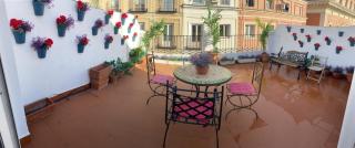 Spacious Penthouse with Large Terrace in Malasaña - 1