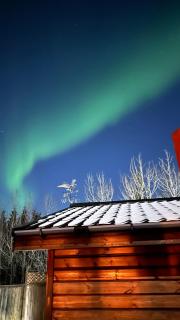 Cozy cottage near Þingvallavatn - Veiðilundur - 9