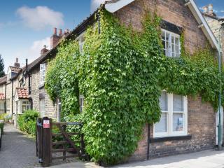 Forge View Cottage - Thornton Dale - 0