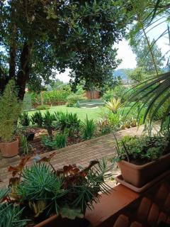 Jjaja's Avocado Grove - Fenne - Kampala - 8