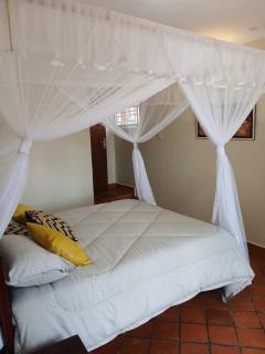 Jjaja's Avocado Grove - Fenne - Kampala - 6