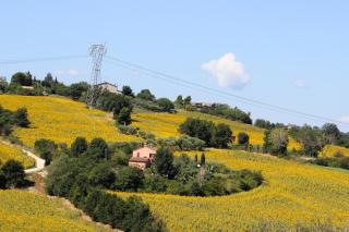 Casale Il Girasole - 9