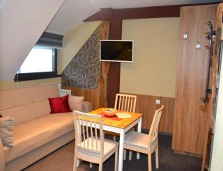 SKI MONTIS apartmani - Kopaonik centar - Kopaonik - 4