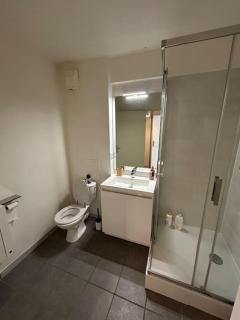 Appartement avec parking gratuit - Toulouse - 2