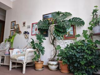 Tamari Guest House - Telavi - 0
