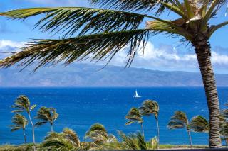 KBM Resorts FREE CAR Hale MakaiAtMontageKapalua Bay Beachfront Condo - Kapalua - 9