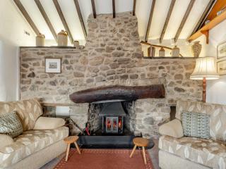 Cwm Eithin Cerbid - Cottage - Llanhowell - 2