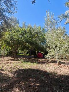 Coopérative Ogandou - Skoura - 6