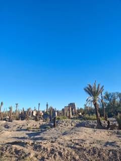 Coopérative Ogandou - 5