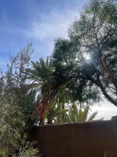 Coopérative Ogandou - 3