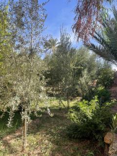 Coopérative Ogandou - 2