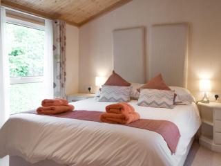 Badger Lodge - Burton - 2
