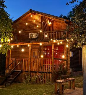 Villzone vila in Prishtina with big garden - 0