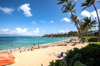 KBM Resorts FREE CAR Napili Bay NAB-107 Stunning Ocean Front Villa Turtle Views - Kahana - 7