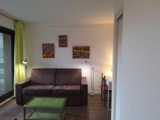 Charmant studio au calme dans le parc - Thonon-les-Bains - 9