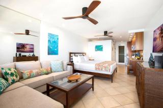 KBM Resorts FREE CAR Napili Bay Oceanfront Stunning Studio Villa Turtle views NAB-107 - 1