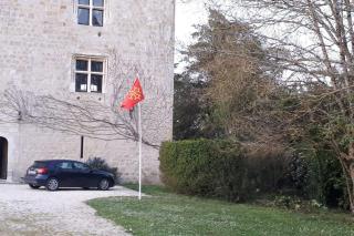 Château Tour du XIII siècle Gazaupouy - Gazaupouy - 7