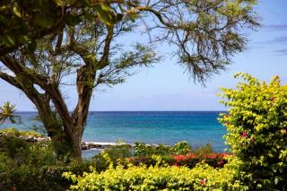 KBM Resorts FREE CAR Napili Point NAP-A25 Stunning Ocean Front Villa Turtle Views - Kapalua - 0