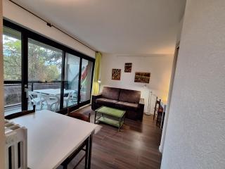 Charmant studio au calme dans le parc - Thonon-les-Bains - 3