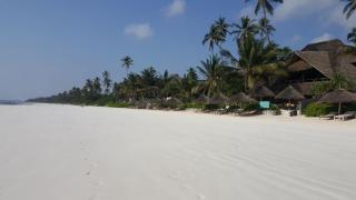 Sunshine Azure Zanzibar Beach Hotel - Matemwe - 3