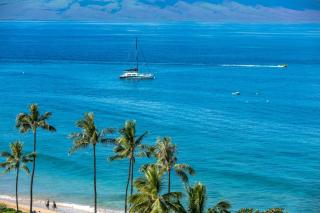 KBM Resorts FREE CAR The Whaler WH2-1169 Sweeping Ocean Views newly furnished 2023 - Kaanapali - 4