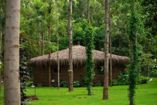 Mtoni River Lodge - Arusha - 5