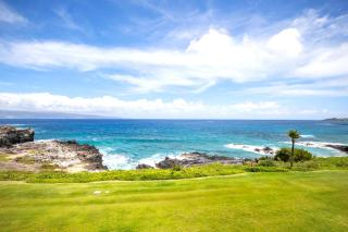 KBM Resorts FREE CAR Kapalua Bay Villa KBV-26B1 Ocean Front Gorgeously Remodeled - Kapalua - 4