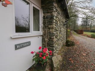 Butterfly - Kendal - 9
