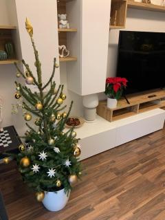 Krejcarek Garden Apartment - Prag - 9