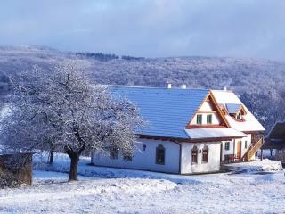 Vidiecky dom Na Jablonci - Hrušov - 0