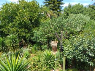 Owl's Den 2 - Oudtshoorn - 4