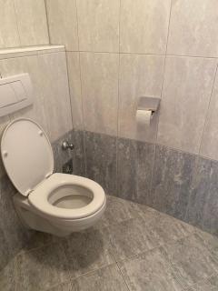 Apartment DOLCE VITA - Schladming - 1