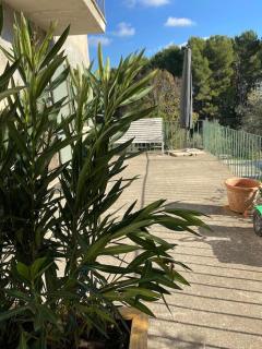 Appartement bastide à la campagne - Mimet - 9
