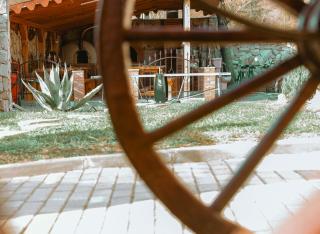 Pensiunea Casa Amy - Gladna Romînă - 9