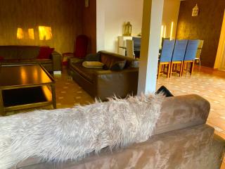 Lilly bulles en Champagne piscine et jardin privée - 9