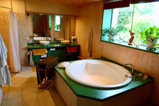 La Goronière - Superbe Charentaise rénovée - 2 logements - Piscine chauffée - 3