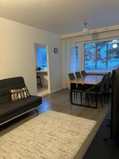 Apartment Rovaniemi Center 3 - 1