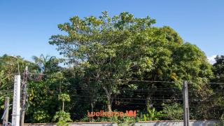 Kitnet a 5 min da praia em Caraguatatuba - Bairro da Enseada - 6