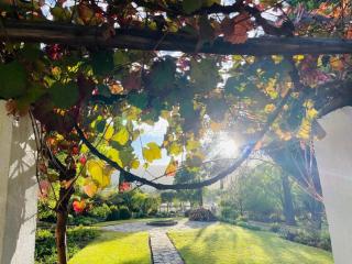 Grey Ghost Lodge - 3