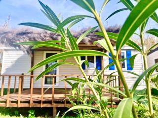 International Glamping Lago Di Bracciano - 1