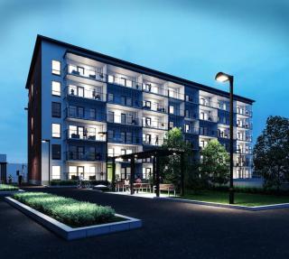 Arctic Deluxe Suite - Rovaniemi - 3