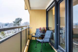 Gemütliche Ferienwohnung im Harz - Hohegeiß - 9